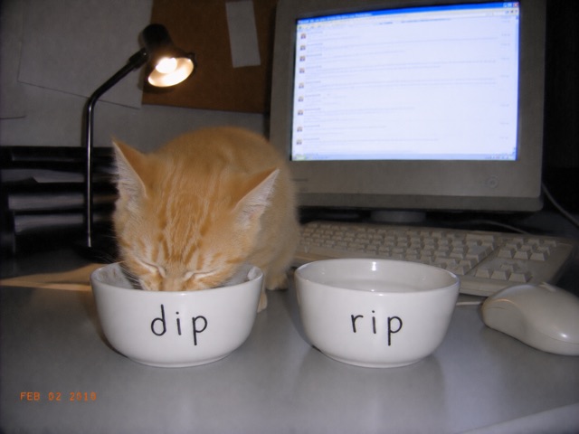 dip vs rip