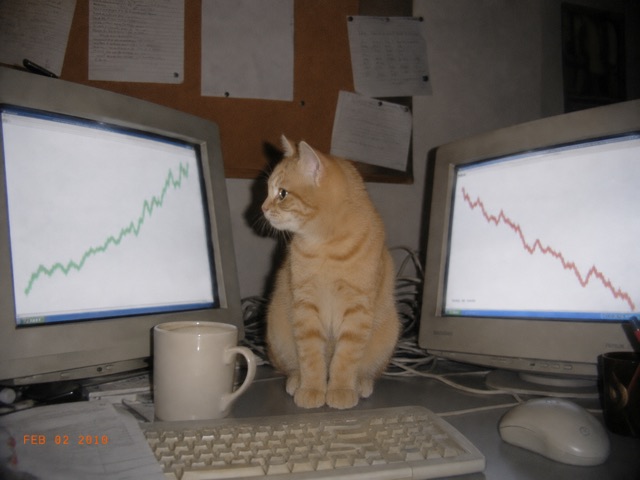 risk management