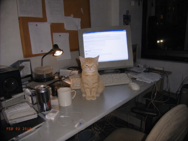 the office